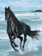BRUSHME värvi numbrite järgi  Black Horse, BS29330
