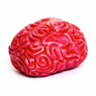 Squidgy Brain pigistatav mänguasi, NV459