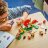 71429 LEGO®  Super Mario Nabbit Toadi Poes Laienduskomplekt 